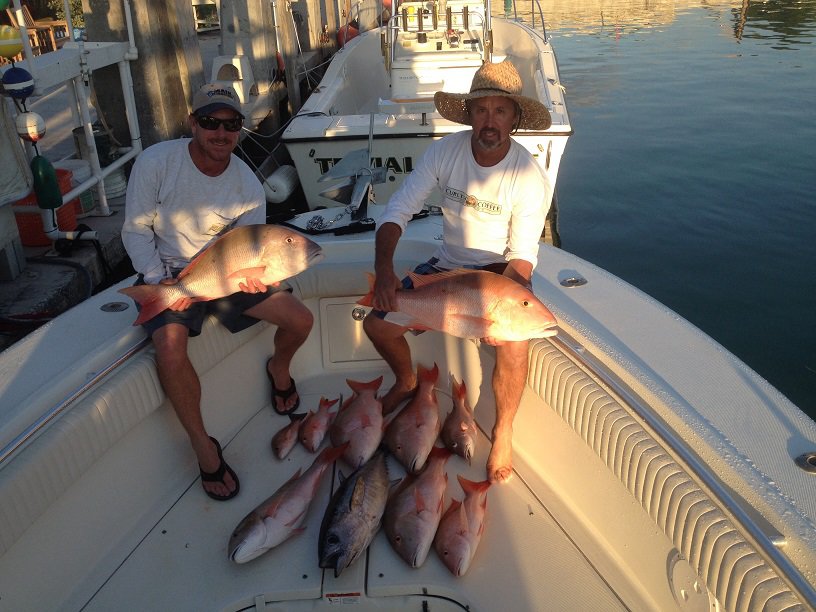 lots of mutton snapper caught with Curly in Marathon FL