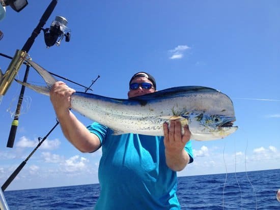 big mahi mahi caught in Marathon, Florida Keys