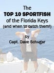 Marathon FL sportfishing tips