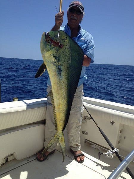 offshore fishing trip for dolpin in Marathon Florida Keys