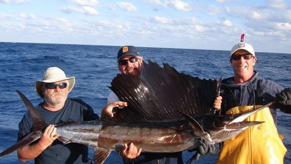 sailfish fishing tours offshore Marathon, Florida Keys