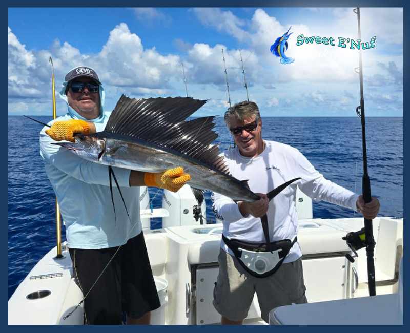 Top Saltwater Fishing Baits